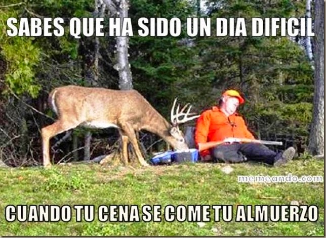 humor-adictamente (32)