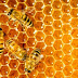 What is the benefit of honey 