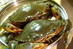 Cara Merebus Kepiting Agar Tidak Bau Amis