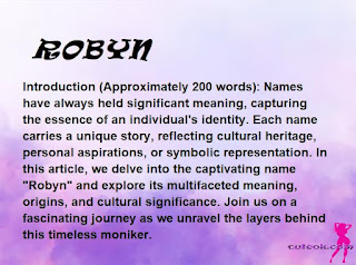 meaning of the name "ROBYN"