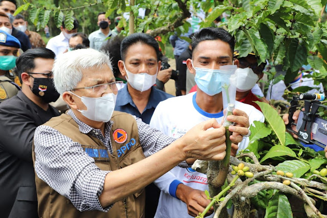 Wagub Launching Gerakan Satu Juta Stek Batang Pucuk Kopi  di Pagar Alam
