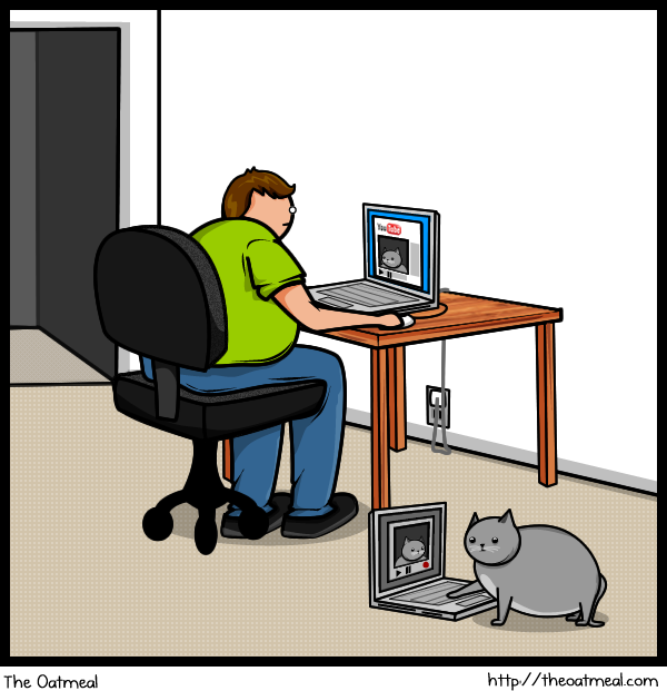 cat vs internet, funny pictures, funny cat pictures, comics, the oatmeal