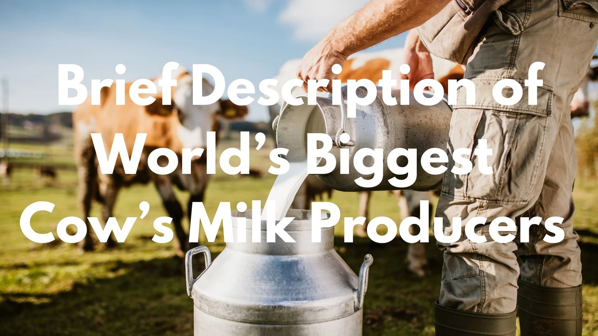 Brief Description of 10 World’s Biggest Cow’s Milk Country Producers