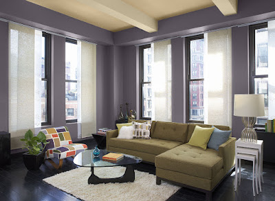 Living Room Color Schemes 