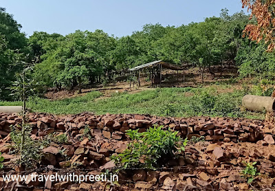 वन विहार नेशनल पार्क भोपाल - Van Vihar National Park Bhopal