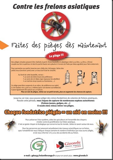 affiche_frelon_