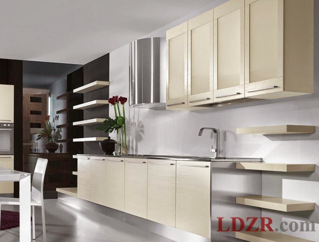 Contemporary Kitchens