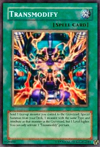 transmodify