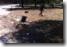 clip_image006