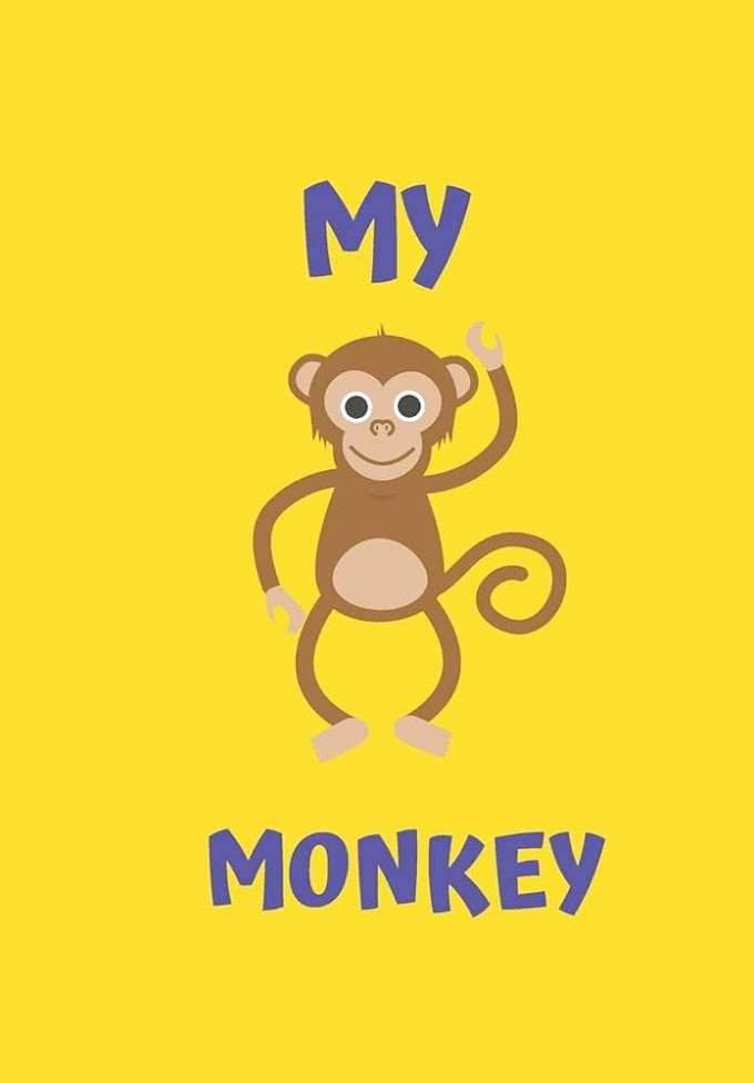  My Monkey