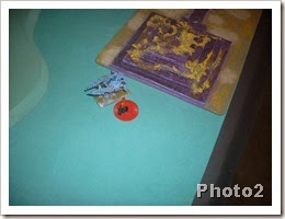 friday night 052