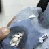 Des passeurs de drogues utilisent des pigeons pour transporter la marchandise. 200 pilules d’ecstasy ont été interceptées.