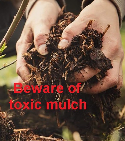 Beware of toxic mulch