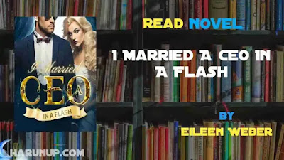 I Married A CEO In A Flash Novel