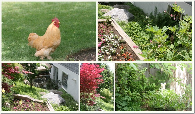 2011 Garden Tour