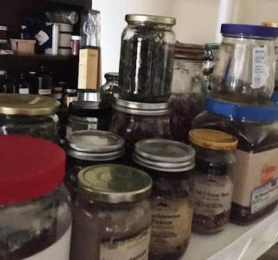 dried herbs in jars