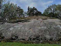 Giant petroglyph carving found hidden under moss in Sweden.