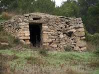 La Barraca de Vinya del Faci del Racó del Trull