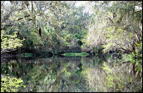 01b - Kayak Trip - River Views