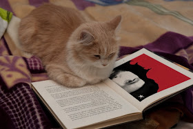 Cat with a book