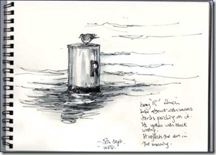 buoy R bg