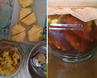 fermentasi kulit nanas