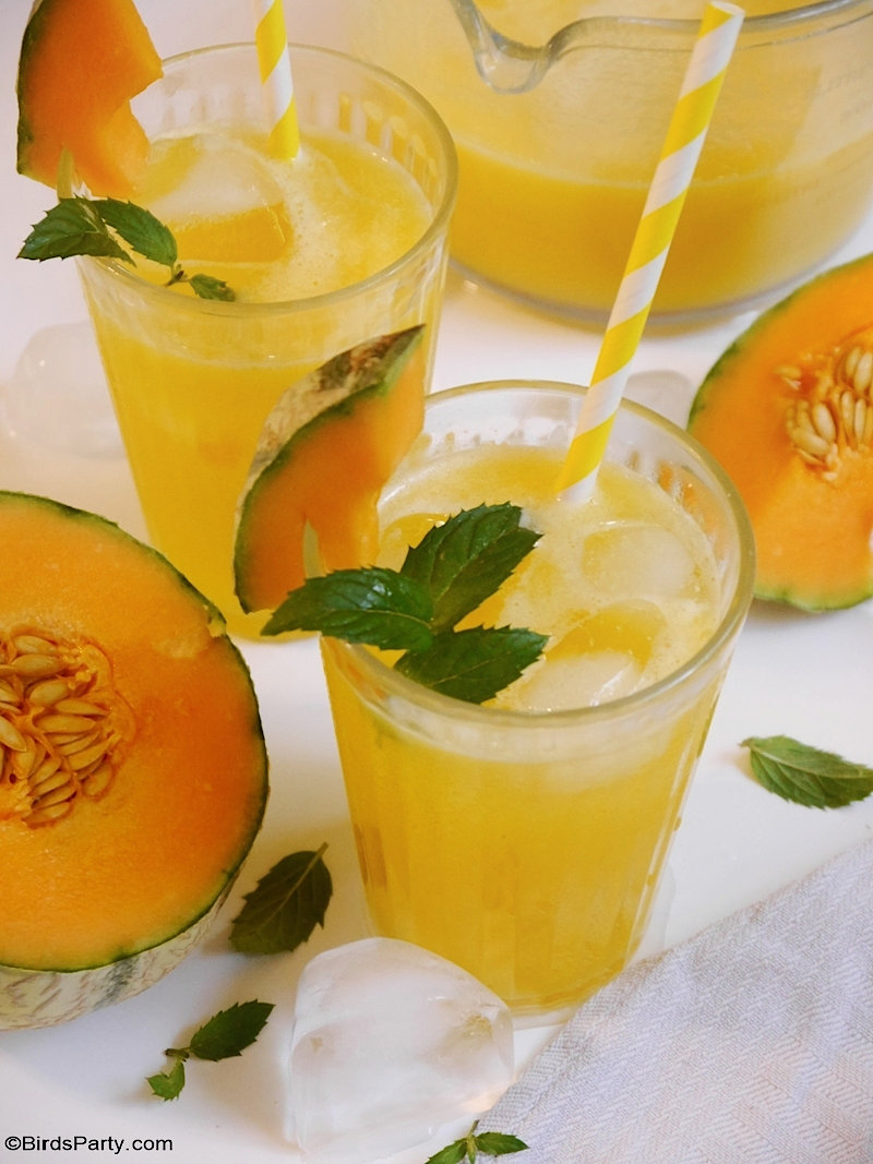 Limonade au melon cantaloup - recette saine, facile et rapide pour utiliser des fruits de saison et bon marché pour un apéro estival !