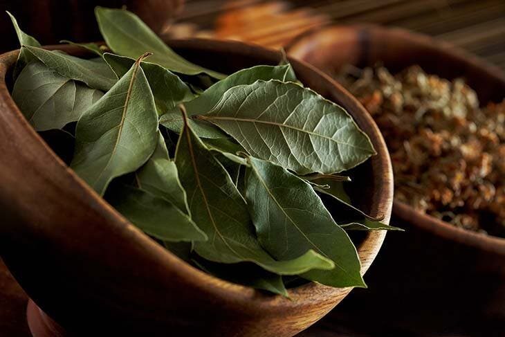 Leave 3 bay leaves in the fridge at night: the trick that gets rid of a problem we all have