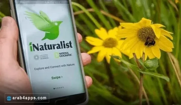 تطبيق iNaturalist