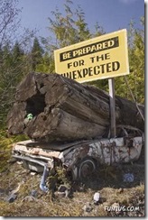 funny sign board (1)