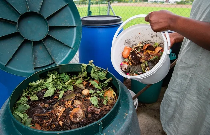 Agro-industrial Waste: From Problem to Resource