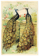 Click on Image to Enlarge (peacocks vintage image graphicsfairy)