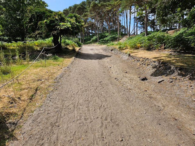 image of wide gravel path leading to some woods. A sika deer runs across the top part of the image