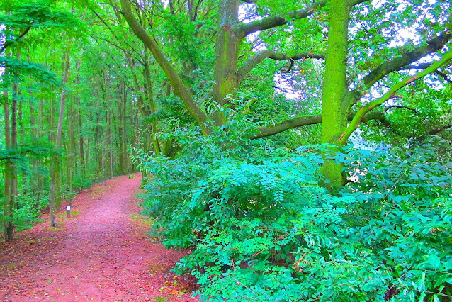 Deurne: Herfst in het park