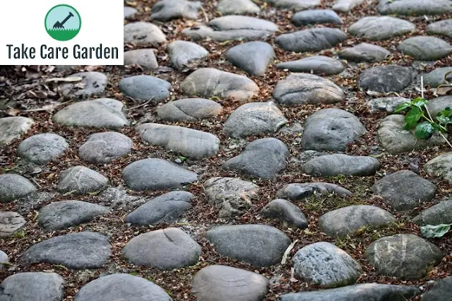 Como Fazer um Jardim com Pedras em 5 Passos Simples