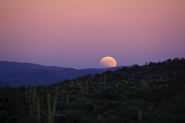 Lunar Eclipse seen from Arizona