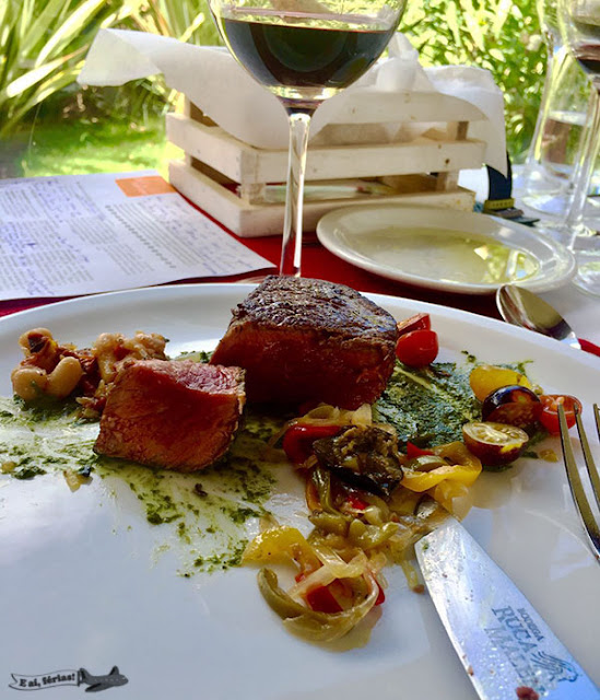 Ruca Malen, Bodeca, Mendoza, Argentina, Vinho, Bife de Chorizo