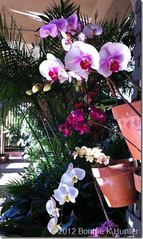 socal_jan_2012 068