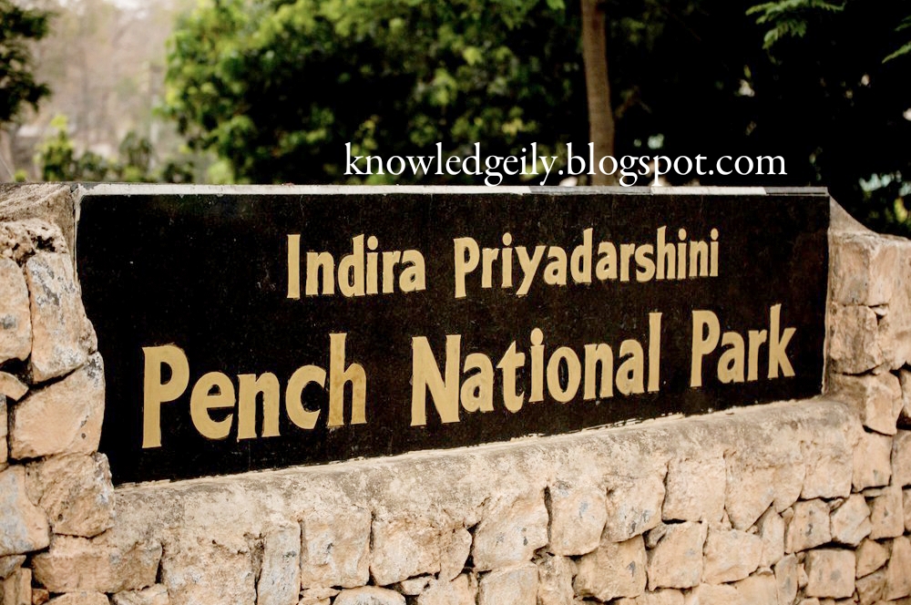 Pench National Park