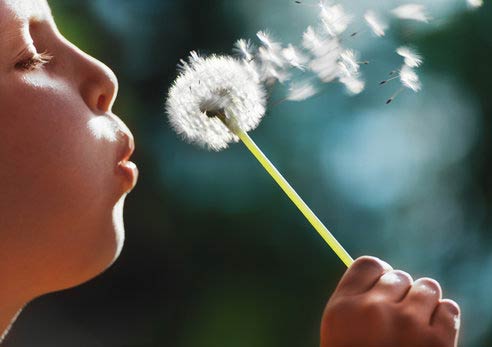 dandelion tattoo. dandelion tattoo. because when