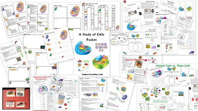 http://homeschoolden.com/2015/03/10/cell-unit-cell-organelles-cell-functions-eurkaryotic-vs-prokaryotic-cells-animal-vs-plant-cells-and-more/