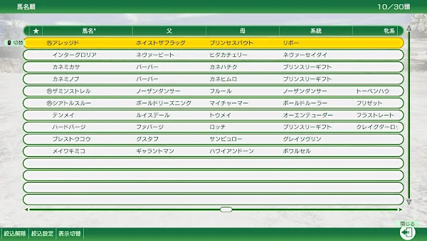 来年デビューする馬