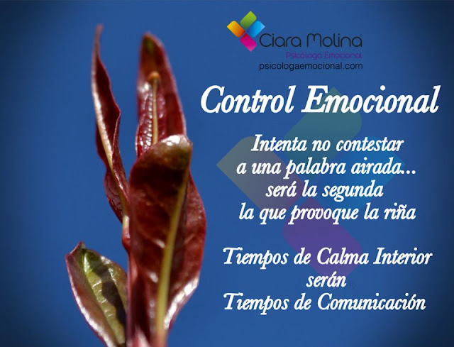 REFLEXION CONTROL EMOCIONAL