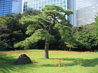 Taman Hijau Di Tengah Bandar Raya Tokyo