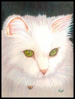 white cat completed