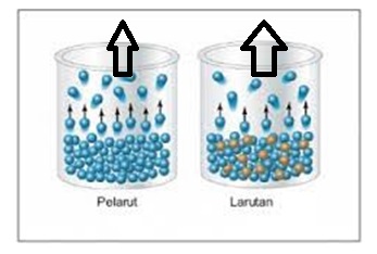 Penurunan-Titik-Beku-Laruran