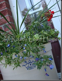 Planting Flowers 026