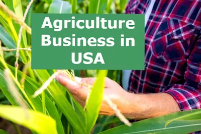 Agriculture business in usa