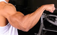 Lean forearms