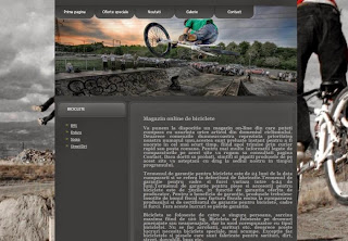 atestat informatica magazin biciclete